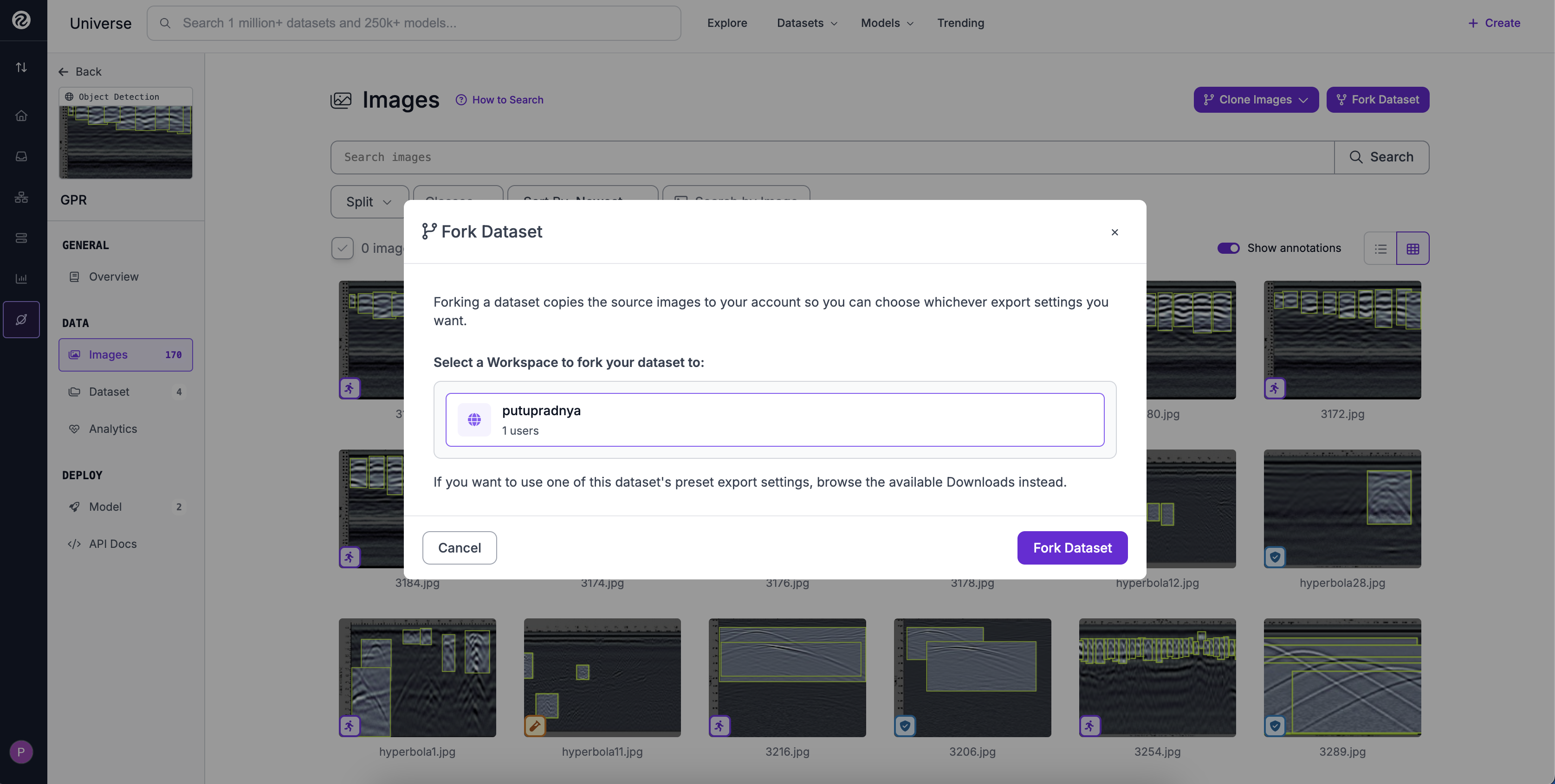 Fork Dataset Dialog